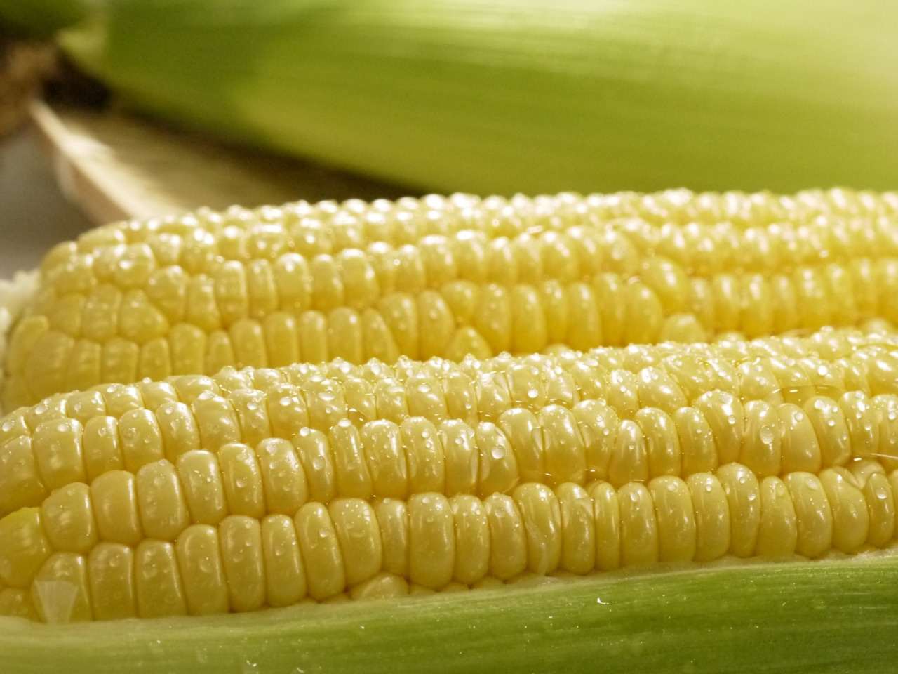 Freshly harvested Dake Kimi sweet corn, a specialty of Aomori Prefecture