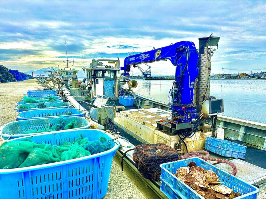 Freshly harvested scallops on a fishing boat at a pier, illustrating Aomori Prefecture's scallop industry
